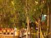 Islands of Siankaba - Lodge2